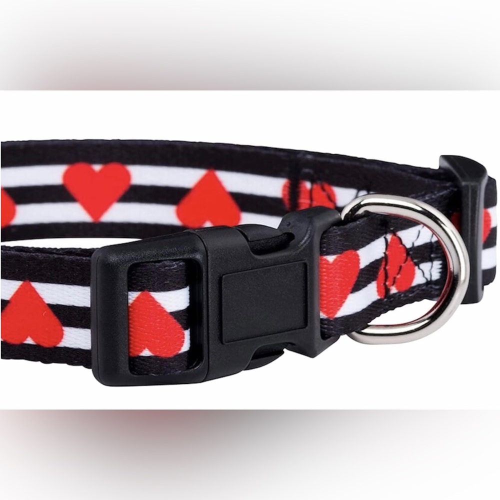 Native Pup Large Striped Heart Dog Collar